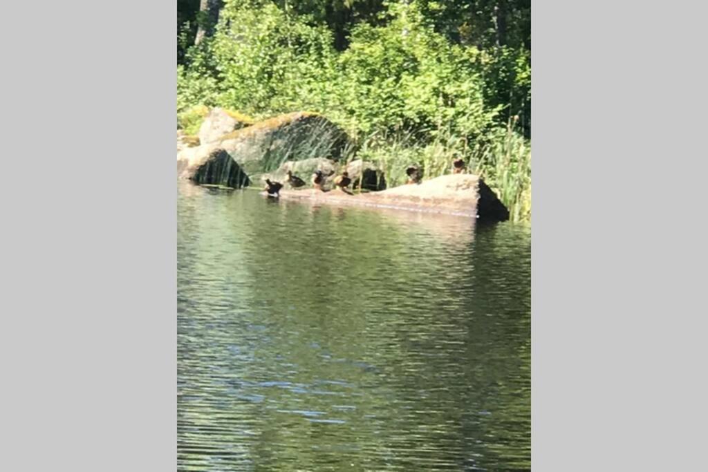 Vacker Hus I Naturen Fröseke Buitenkant foto